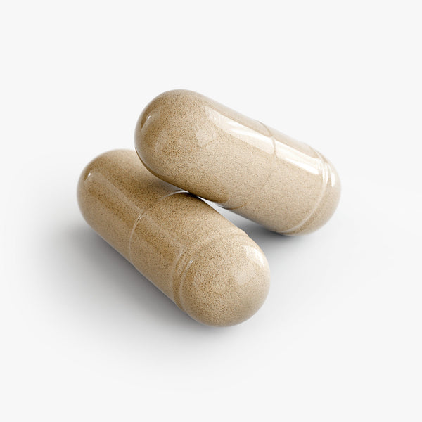 Close-up of two CalmNight sleep support capsules by Revita Genix Labs specialty supplements