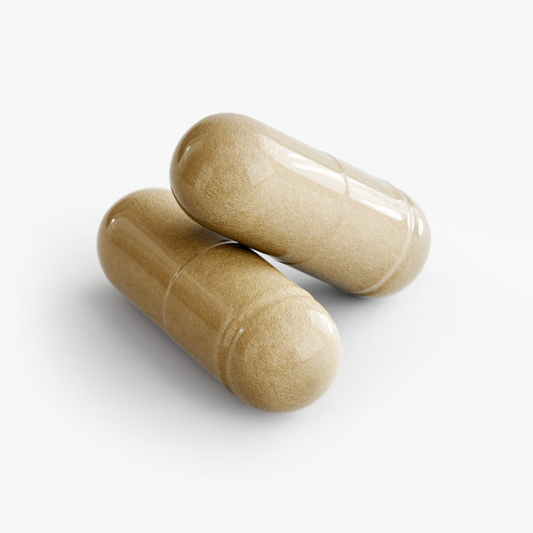 Two beige pure moringa capsules from Revita Genix Labs natural extracts on white background