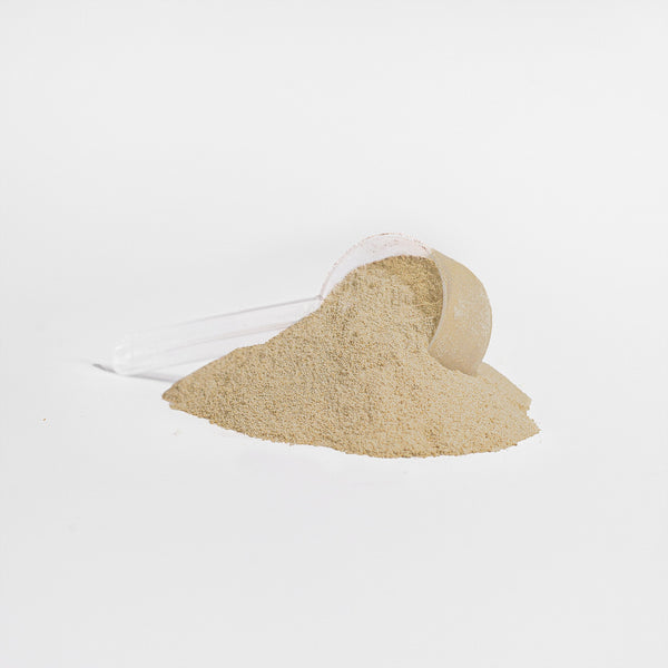 Revita Genix Labs whey protein isolate vanilla powder with clear scoop on white background